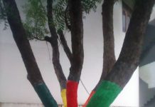 इस प्रधान के कार्यो के चारो ओर हो रही हैं चर्चा