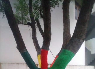 इस प्रधान के कार्यो के चारो ओर हो रही हैं चर्चा