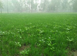 मौसम क़े बदलते मिजाज से किसानों में खुशी और मायूसी