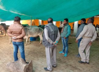 नगर पंचायत अध्यक्ष ने नगर क्षेत्र व गौशाला का किया निरीक्षण