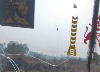 जब 2 दर्जन से अधिक गोवंश के शव मिलने से मचा हड़कंप