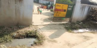 स्वच्छता को ठेंगा दिखाती विद्यालय से सटी नाली
