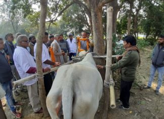 खरौली में पंडित दीनदयाल उपाध्याय पशु रोग शिविर मेले का आयोजन