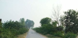 बदहाली के आंसू बहा रही है ये सड़क, राहगीरों के साथ हो रही आये दिन दुर्घटनाएं