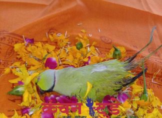 35 वर्ष के तोते का किया गया हिंदू रीति-रिवाज के साथ अंतिम संस्कार गोकना घाट पर