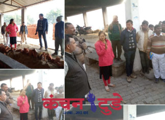 एसडीएम ने गंगा घाटों का किया औचक निरीक्षण