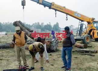 वन विभाग की लापरवाही की खुली पोल, क्षेत्राधिकारी सलोन की बड़ी कार्यवाही