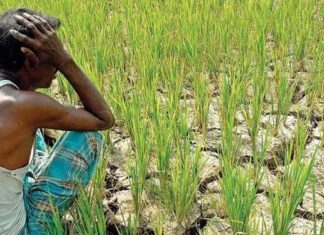 बिन मौसम बारिश से चिंतित दिख रहे धरती के भगवान
