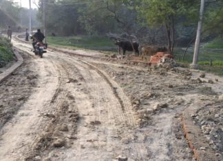 एनटीपीसी द्वारा बनवाई जा रही एक सड़क में बोल्डर की जगह केवल डाल दी गई मिट्टी,ग्रामीणों में आक्रोश