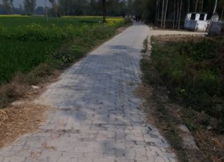 लोकार्पण से पहले ही क्षतिग्रस्त हो गई जिला पंचायत निधि से बनी इँटर लाँकिग सड़क