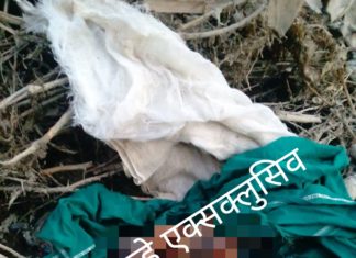 संदिग्ध परिस्थितियों में झाड़ियो में पड़ा मिला नवजात का शव
