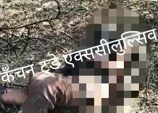 झाड़ियों में मिली अधजली शव की हुई शिनाख्त