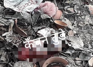 एक बार फिर शर्मसार हुई मानवता-मातृ वत्सलता