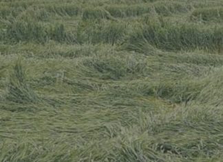 ऐसा क्या हुआ कि किसानों ने ये कहा साहब हम तो भुखेन मर जाबे ,जिम्मेदार फरमा रहे आराम