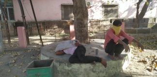 मधुमक्खी के हमले से युवक घायल