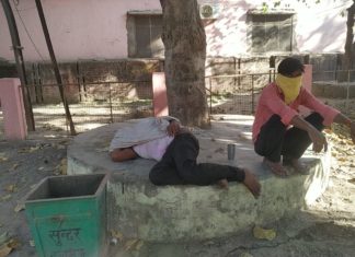 मधुमक्खी के हमले से युवक घायल