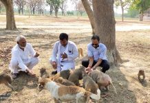 समाजसेवियों द्वारा वानर भोज के साथ दी जरूरतमंदों को राशन किट