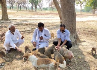 समाजसेवियों द्वारा वानर भोज के साथ दी जरूरतमंदों को राशन किट