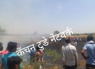 बिजली विभाग के तार खेतो को कर रहे आग के हवाले