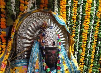 तो शनि देव जन्मोत्सव अबकी बार ऐसे मनाया जाएगा