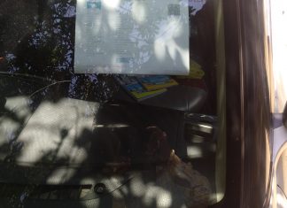 अवैध पास लगी गाड़ियां सड़को पर भर रही फर्राटे
