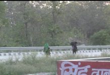नहीं रुक रहा , ट्रकों से प्रवासी मजदूरों का पलायन बीच रास्ते में मजदूरों को छोड़ कर भगा ट्रक