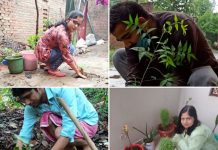 अंतरराष्ट्रीय पर्यावरण दिवस पर रक्तदान संस्थान ने किया वृक्षारोपण