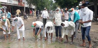 ये क्या सड़क पर ही होने लगी खेती, कारण था ये