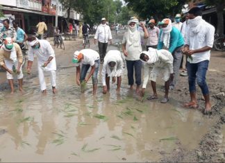 ये क्या सड़क पर ही होने लगी खेती, कारण था ये