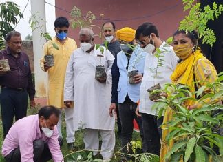गुरू पूर्णिमा पर अखिल भारतीय उद्योग व्यापार मंडल के पदाधिकारियों ने किया वृक्षारोपण
