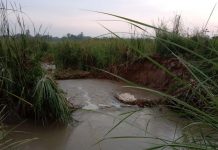 नहर में कटी खांदी ,50 बीघा फसल जलमग्न