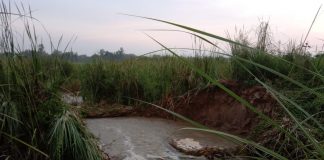 नहर में कटी खांदी ,50 बीघा फसल जलमग्न