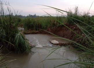 नहर में कटी खांदी ,50 बीघा फसल जलमग्न