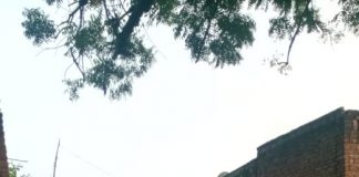 गरीब ने आशियाना गिराने का लगाया आरोप