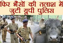 आखिर सलोन पुलिस कौन से जानवर की कर रही है तलाश