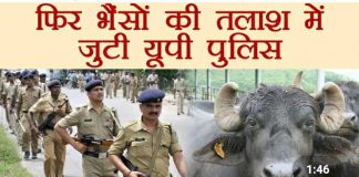 आखिर सलोन पुलिस कौन से जानवर की कर रही है तलाश