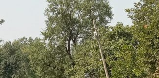 आखिर क्यों बिज़ली विभाग के अधिकारीयो को नही किसी की जान की परवाह