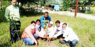 पत्रकार समाज कल्याण समिति द्वारा आयोजित किया गया धूमधाम से वृक्षारोपण कार्यक्रम