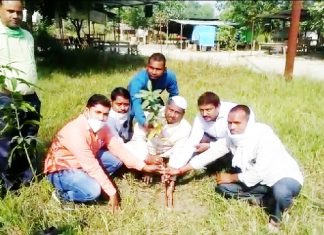 पत्रकार समाज कल्याण समिति द्वारा आयोजित किया गया धूमधाम से वृक्षारोपण कार्यक्रम