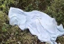 सफाईकर्मी महिला को ट्रक ने रौंदा,मौत