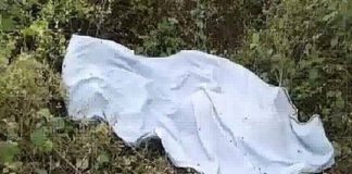सफाईकर्मी महिला को ट्रक ने रौंदा,मौत