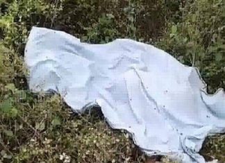 सफाईकर्मी महिला को ट्रक ने रौंदा,मौत