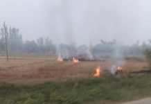 पराली जलाने पर सरकार का आदेश ठेंगे पर, किसान ने जलाई पराली