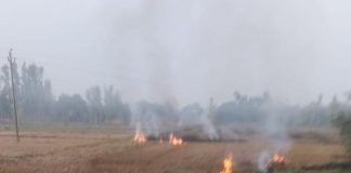 पराली जलाने पर सरकार का आदेश ठेंगे पर, किसान ने जलाई पराली