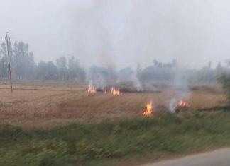 पराली जलाने पर सरकार का आदेश ठेंगे पर, किसान ने जलाई पराली