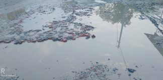 इस सड़क पर राहगीरों का इंतज़ार करते हैं यमराज