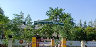 ये ग्राम प्रधान गांव के विद्यालयों की बदल रहे तस्वीरे