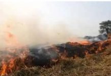 पराली जलाने पर उपजिलाधिकारी सदर ने किस पर दर्ज करवाई एफआईआर