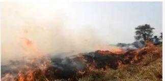 पराली जलाने पर उपजिलाधिकारी सदर ने किस पर दर्ज करवाई एफआईआर
