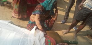 मधुमक्खियों के हमले से बुजुर्ग किसान की हुई मौत